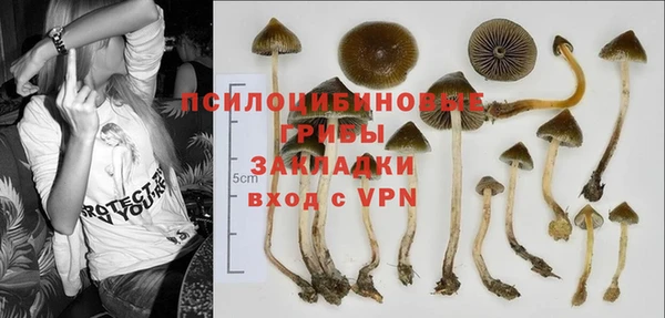 ALPHA PVP Беломорск