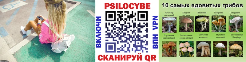 Галлюциногенные грибы мухоморы  хочу наркоту  Городец 
