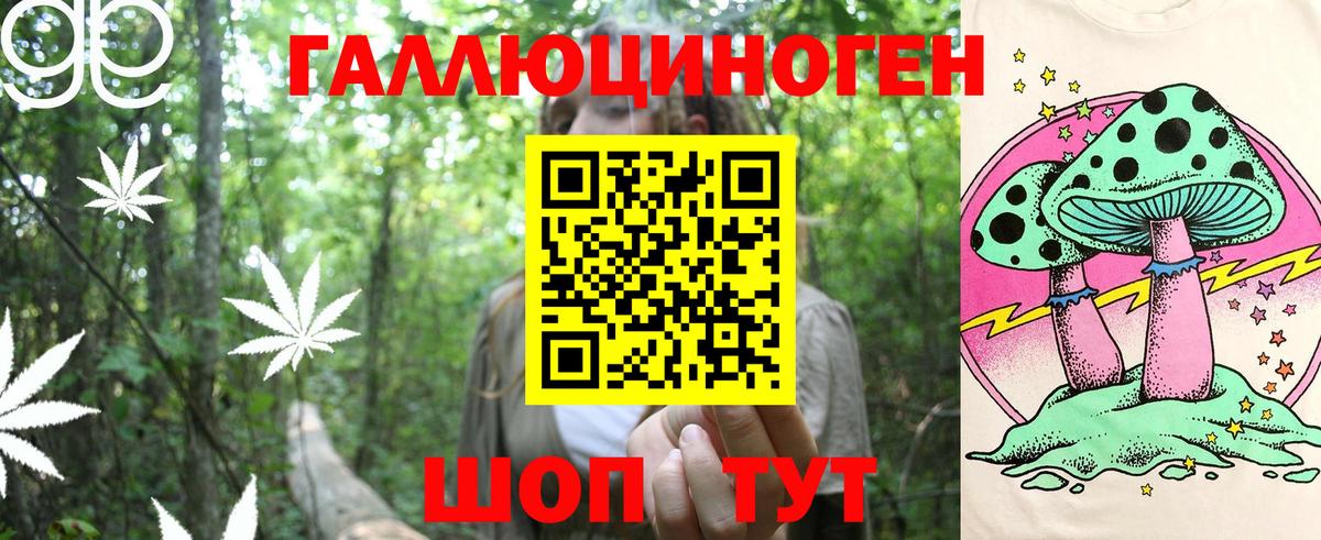 Псилоцибиновые грибы прущие грибы  Галлюциногенные грибы GOLDEN TEACHER  Городец 