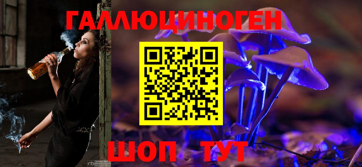 Псилоцибиновые грибы GOLDEN TEACHER Городец